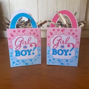 Gender Reveal Balloon Weights
